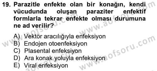 Temel Veteriner Parazitoloji Dersi 2012 - 2013 Yılı (Vize) Ara Sınav Soruları 19. Soru