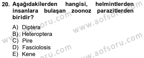 Temel Veteriner Parazitoloji Dersi 2012 - 2013 Yılı (Vize) Ara Sınav Soruları 20. Soru