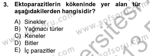 Temel Veteriner Parazitoloji Dersi 2012 - 2013 Yılı (Vize) Ara Sınav Soruları 3. Soru