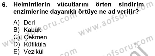 Temel Veteriner Parazitoloji Dersi 2012 - 2013 Yılı (Vize) Ara Sınav Soruları 6. Soru