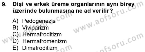 Temel Veteriner Parazitoloji Dersi 2012 - 2013 Yılı (Vize) Ara Sınav Soruları 9. Soru