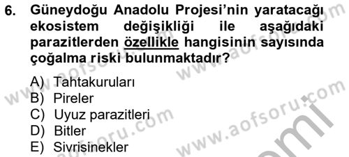 Temel Veteriner Parazitoloji Dersi 2012 - 2013 Yılı (Final) Dönem Sonu Sınavı 6. Soru