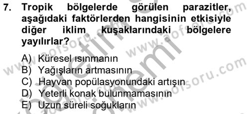 Temel Veteriner Parazitoloji Dersi 2012 - 2013 Yılı (Final) Dönem Sonu Sınav Soruları 7. Soru