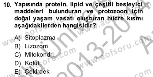 Temel Veteriner Parazitoloji Dersi 2013 - 2014 Yılı (Vize) Ara Sınav Soruları 10. Soru