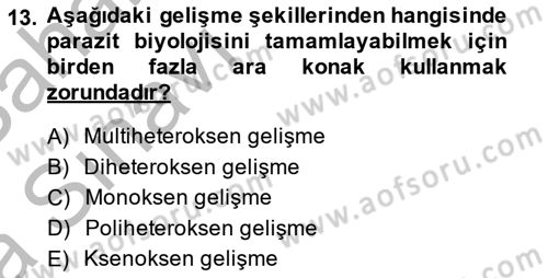 Temel Veteriner Parazitoloji Dersi 2013 - 2014 Yılı (Vize) Ara Sınav Soruları 13. Soru