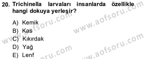 Temel Veteriner Parazitoloji Dersi 2013 - 2014 Yılı (Vize) Ara Sınav Soruları 20. Soru