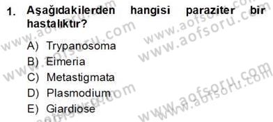 Temel Veteriner Parazitoloji Dersi 2013 - 2014 Yılı (Final) Dönem Sonu Sınav Soruları 1. Soru