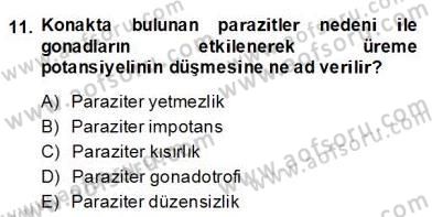 Temel Veteriner Parazitoloji Dersi 2013 - 2014 Yılı (Final) Dönem Sonu Sınavı 11. Soru