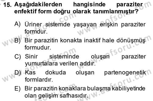 Temel Veteriner Parazitoloji Dersi 2014 - 2015 Yılı (Vize) Ara Sınavı 15. Soru