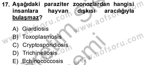 Temel Veteriner Parazitoloji Dersi 2014 - 2015 Yılı (Vize) Ara Sınavı 17. Soru