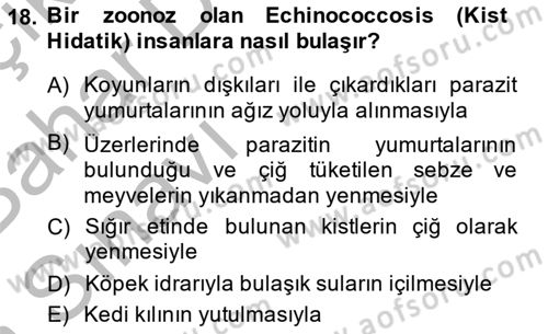 Temel Veteriner Parazitoloji Dersi 2014 - 2015 Yılı (Vize) Ara Sınavı 18. Soru