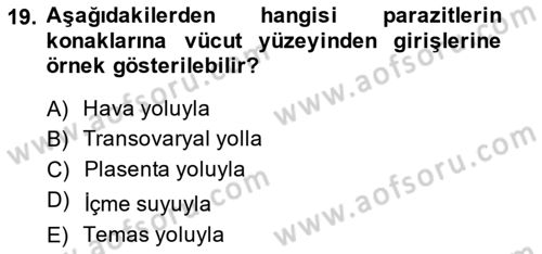 Temel Veteriner Parazitoloji Dersi 2014 - 2015 Yılı (Vize) Ara Sınavı 19. Soru