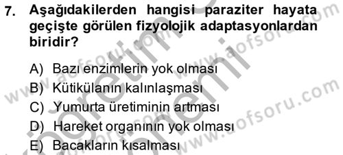 Temel Veteriner Parazitoloji Dersi 2014 - 2015 Yılı (Vize) Ara Sınavı 7. Soru