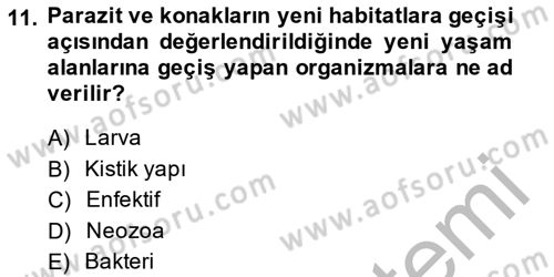 Temel Veteriner Parazitoloji Dersi 2014 - 2015 Yılı (Final) Dönem Sonu Sınav Soruları 11. Soru