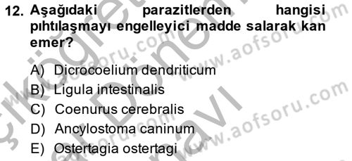 Temel Veteriner Parazitoloji Dersi 2014 - 2015 Yılı (Final) Dönem Sonu Sınav Soruları 12. Soru