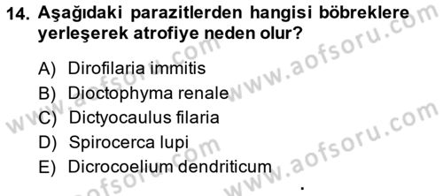 Temel Veteriner Parazitoloji Dersi 2014 - 2015 Yılı (Final) Dönem Sonu Sınav Soruları 14. Soru