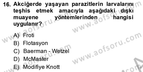 Temel Veteriner Parazitoloji Dersi 2014 - 2015 Yılı (Final) Dönem Sonu Sınav Soruları 16. Soru