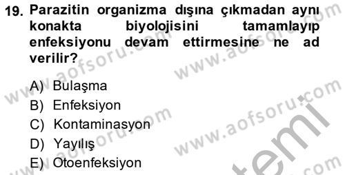 Temel Veteriner Parazitoloji Dersi 2014 - 2015 Yılı (Final) Dönem Sonu Sınav Soruları 19. Soru