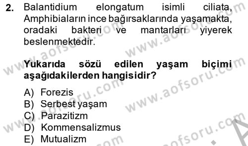 Temel Veteriner Parazitoloji Dersi 2014 - 2015 Yılı (Final) Dönem Sonu Sınav Soruları 2. Soru