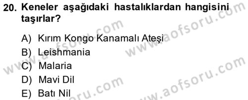 Temel Veteriner Parazitoloji Dersi 2014 - 2015 Yılı (Final) Dönem Sonu Sınav Soruları 20. Soru