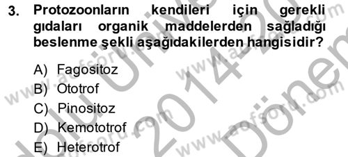 Temel Veteriner Parazitoloji Dersi 2014 - 2015 Yılı (Final) Dönem Sonu Sınav Soruları 3. Soru