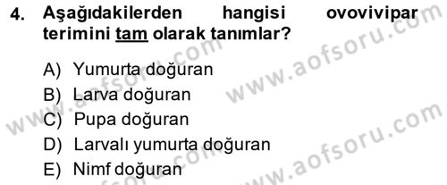 Temel Veteriner Parazitoloji Dersi 2014 - 2015 Yılı (Final) Dönem Sonu Sınav Soruları 4. Soru