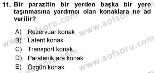 Temel Veteriner Parazitoloji Dersi 2015 - 2016 Yılı (Vize) Ara Sınav Soruları 11. Soru
