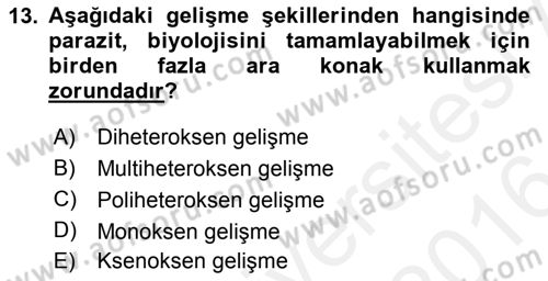 Temel Veteriner Parazitoloji Dersi 2015 - 2016 Yılı (Vize) Ara Sınav Soruları 13. Soru