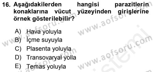 Temel Veteriner Parazitoloji Dersi 2015 - 2016 Yılı (Vize) Ara Sınav Soruları 16. Soru