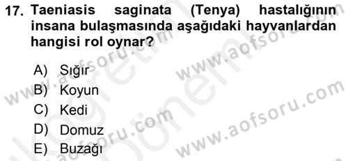 Temel Veteriner Parazitoloji Dersi 2015 - 2016 Yılı (Vize) Ara Sınav Soruları 17. Soru