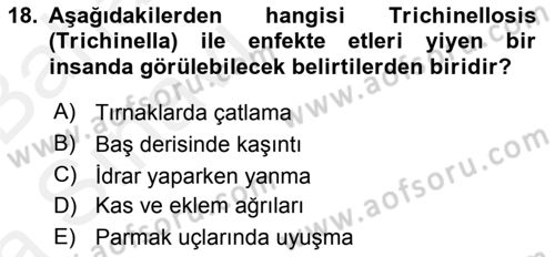 Temel Veteriner Parazitoloji Dersi 2015 - 2016 Yılı (Vize) Ara Sınav Soruları 18. Soru