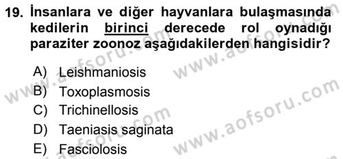 Temel Veteriner Parazitoloji Dersi 2015 - 2016 Yılı (Vize) Ara Sınav Soruları 19. Soru