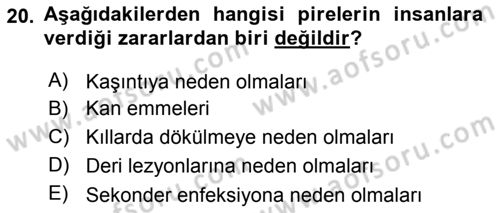 Temel Veteriner Parazitoloji Dersi 2015 - 2016 Yılı (Vize) Ara Sınav Soruları 20. Soru