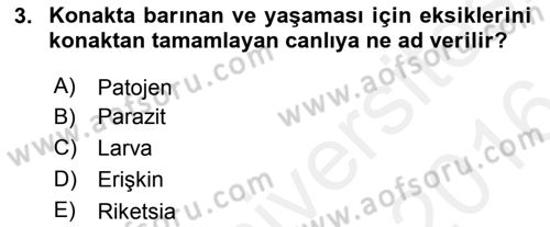 Temel Veteriner Parazitoloji Dersi 2015 - 2016 Yılı (Vize) Ara Sınav Soruları 3. Soru