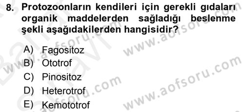 Temel Veteriner Parazitoloji Dersi 2015 - 2016 Yılı (Vize) Ara Sınav Soruları 8. Soru