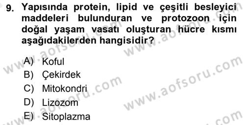 Temel Veteriner Parazitoloji Dersi 2015 - 2016 Yılı (Vize) Ara Sınav Soruları 9. Soru