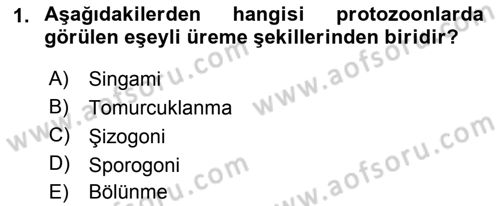 Temel Veteriner Parazitoloji Dersi 2015 - 2016 Yılı (Final) Dönem Sonu Sınav Soruları 1. Soru