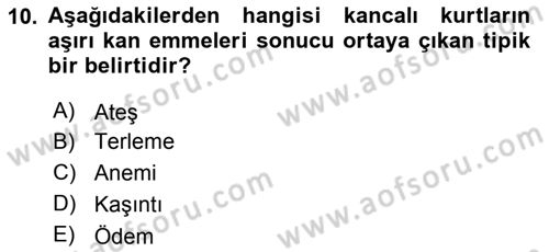 Temel Veteriner Parazitoloji Dersi 2015 - 2016 Yılı (Final) Dönem Sonu Sınav Soruları 10. Soru