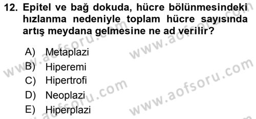 Temel Veteriner Parazitoloji Dersi 2015 - 2016 Yılı (Final) Dönem Sonu Sınav Soruları 12. Soru