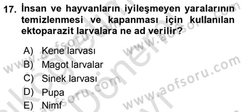 Temel Veteriner Parazitoloji Dersi 2015 - 2016 Yılı (Final) Dönem Sonu Sınav Soruları 17. Soru