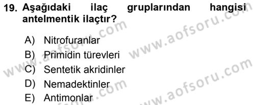 Temel Veteriner Parazitoloji Dersi 2015 - 2016 Yılı (Final) Dönem Sonu Sınav Soruları 19. Soru