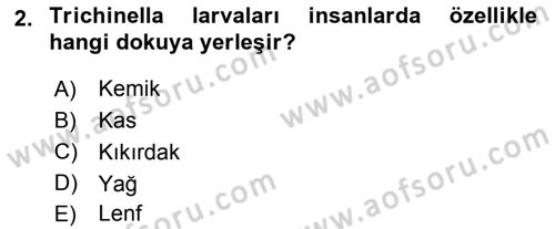 Temel Veteriner Parazitoloji Dersi 2015 - 2016 Yılı (Final) Dönem Sonu Sınav Soruları 2. Soru