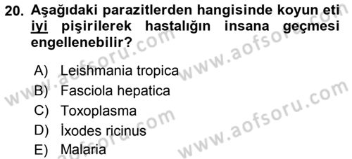 Temel Veteriner Parazitoloji Dersi 2015 - 2016 Yılı (Final) Dönem Sonu Sınav Soruları 20. Soru