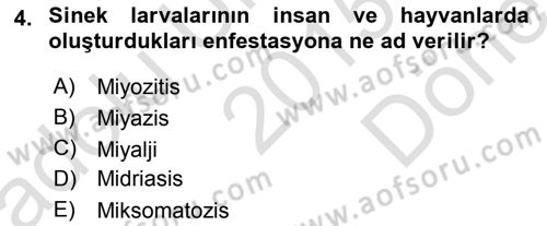 Temel Veteriner Parazitoloji Dersi 2015 - 2016 Yılı (Final) Dönem Sonu Sınav Soruları 4. Soru