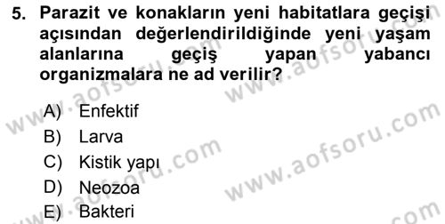 Temel Veteriner Parazitoloji Dersi 2015 - 2016 Yılı (Final) Dönem Sonu Sınav Soruları 5. Soru