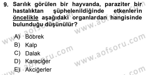 Temel Veteriner Parazitoloji Dersi 2015 - 2016 Yılı (Final) Dönem Sonu Sınav Soruları 9. Soru