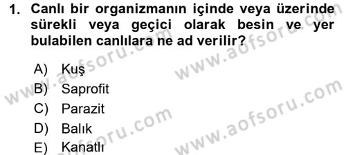 Temel Veteriner Parazitoloji Dersi 2016 - 2017 Yılı (Vize) Ara Sınav Soruları 1. Soru