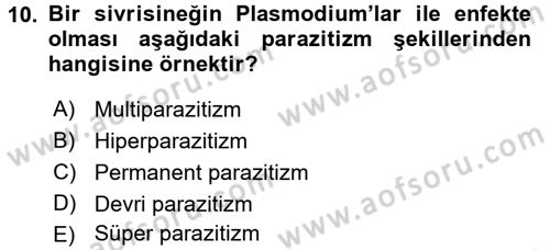 Temel Veteriner Parazitoloji Dersi 2016 - 2017 Yılı (Vize) Ara Sınav Soruları 10. Soru