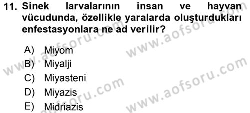 Temel Veteriner Parazitoloji Dersi 2016 - 2017 Yılı (Vize) Ara Sınavı 11. Soru