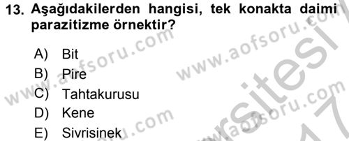 Temel Veteriner Parazitoloji Dersi 2016 - 2017 Yılı (Vize) Ara Sınav Soruları 13. Soru